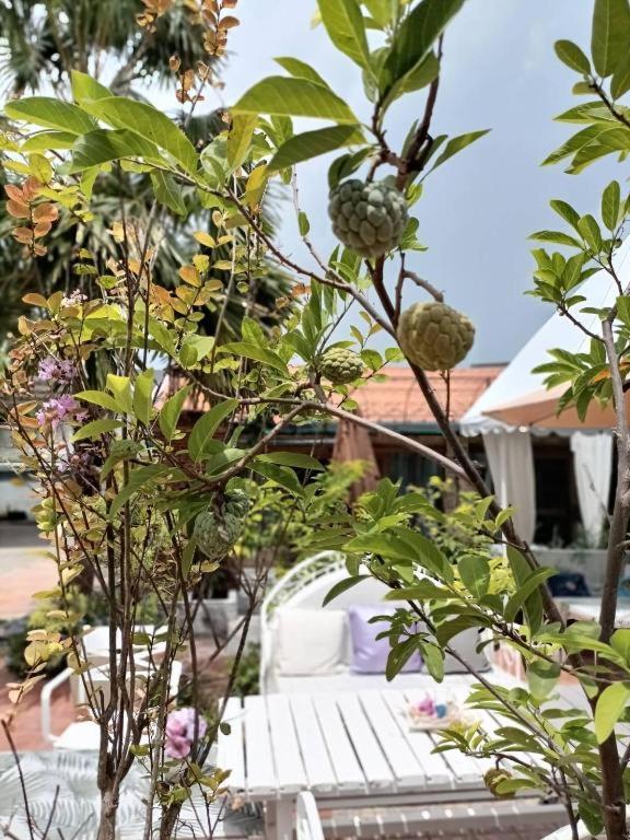 Palm Sweet Hotel Prachuap Khiri Khan Exterior foto